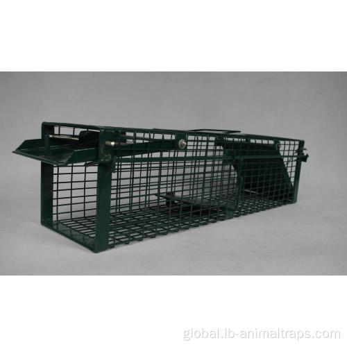 Live Animal Cage Trap PVC Live Badger Cage Trap Manufactory